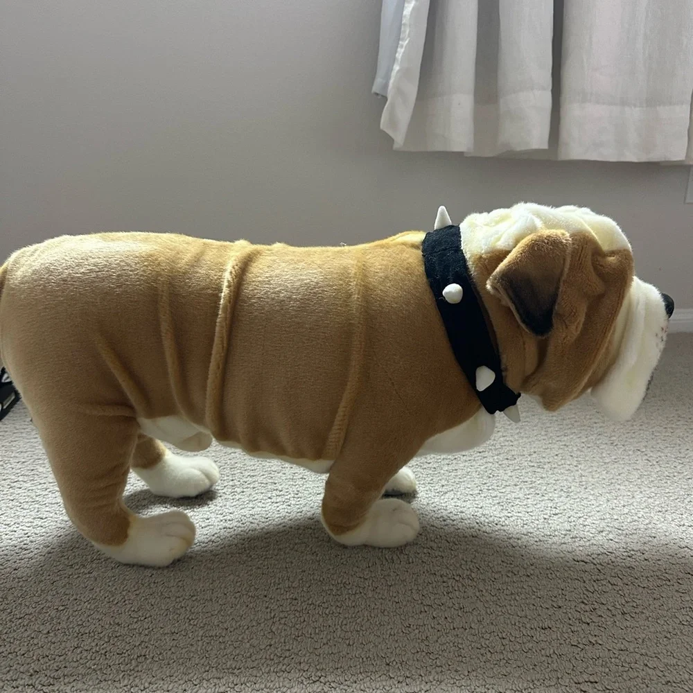 Odin Parker Bulldog - Picture 6 of 7